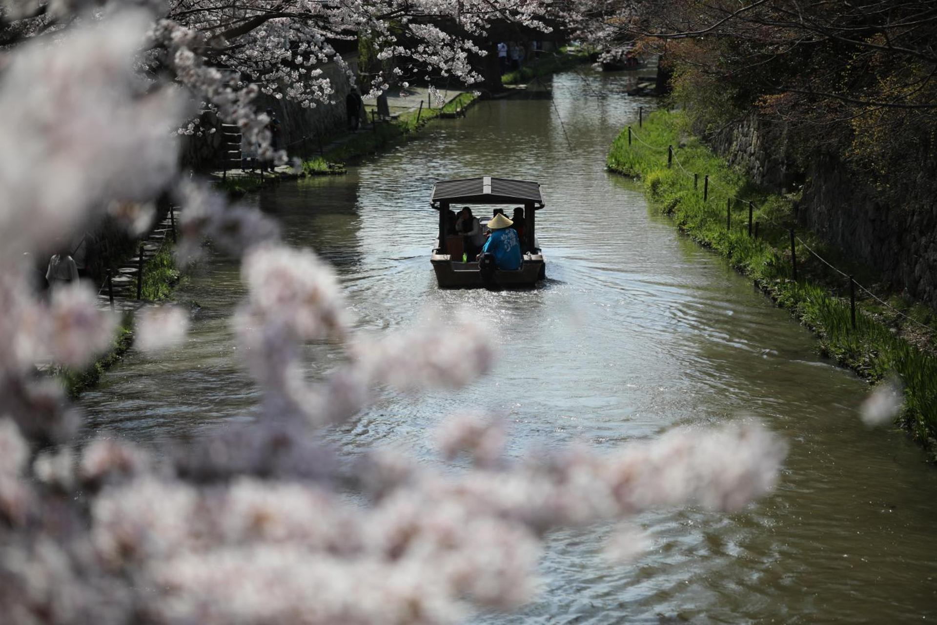 ゲストハウス桜 Guest House Sakura 便利な立地 貸し切り Omihachiman Exterior photo